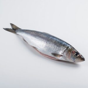 Herring (16 oz)