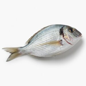 Porgies / Petits