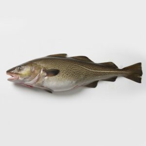 Cod