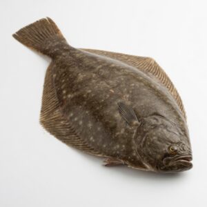 Flounder