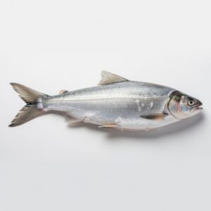 Lake Superior Whitefish (Large-Med)